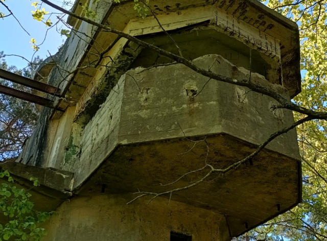 betonowa konstrukcja na podwyższeniu w środku lasu