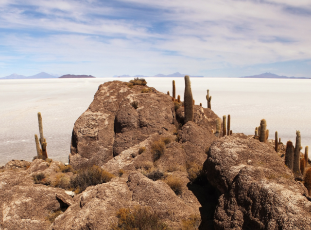 skaliste wzgórze porośnięte kaktusami
