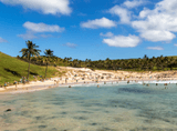 Transparent water by a beach overgrown with palm trees