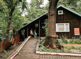 wooden cottage with a sloping roof in the forest, two children on the terrace in front of the house