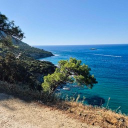 panorama of the sea coast with a stretch of wooded land