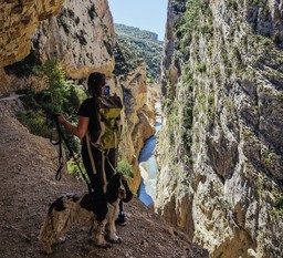 kobieta z psem patrzy w