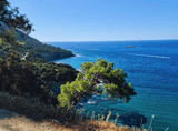 panorama of the sea coast with a fragment of wooded land