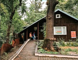 widok na domek w stylu fińskim