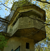 betonowa budowla w środku lasu