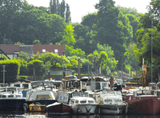 motorboats moored along the coast