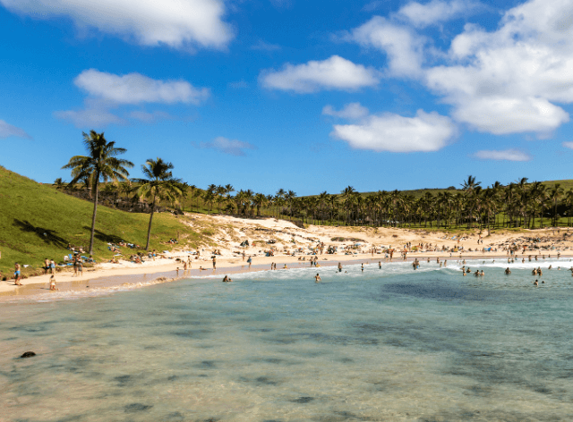 Transparent water by a palm-lined beach