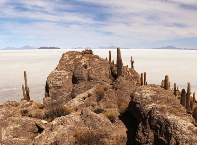 rocky hill covered with cacti